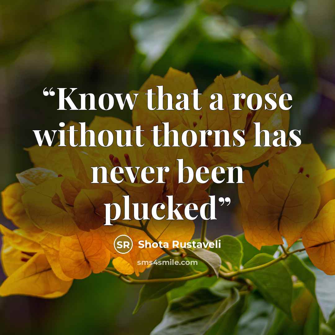 “Know that a rose without thorns has never been plucked” quote by Shota Rustaveli