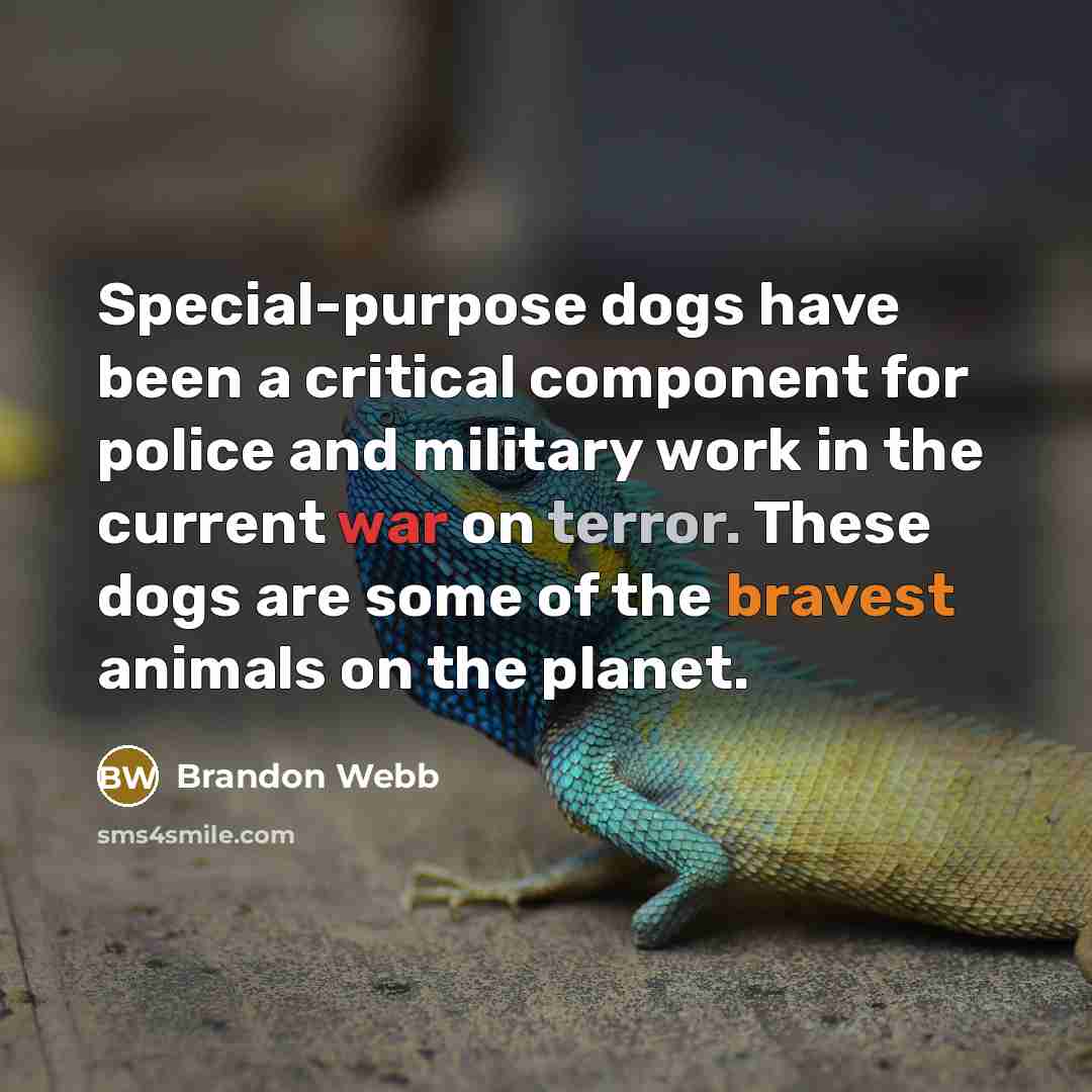 “Special-purpose dogs have been a critical component for police and military work in the current war on terror. These dogs are some of the bravest animals on the planet.” quote by Brandon Webb