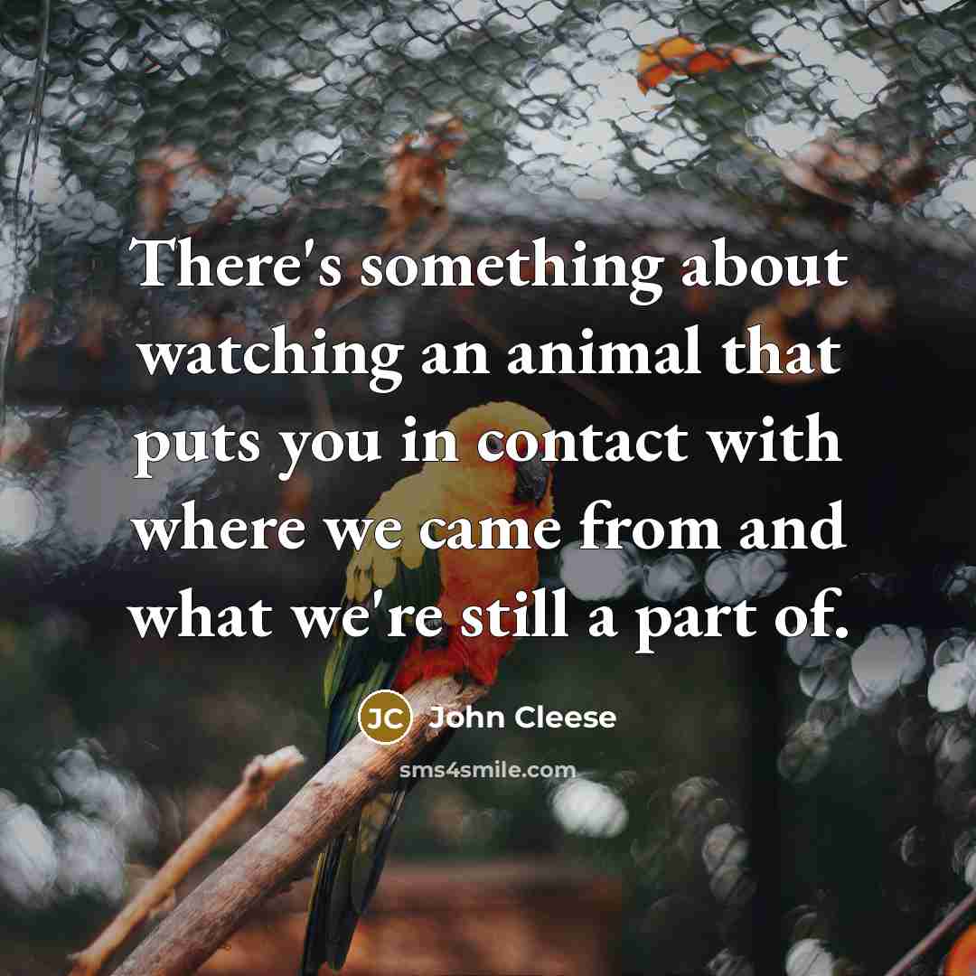 “There's something about watching an animal that puts you in contact with where we came from and what we're still a part of.” quote by John Cleese