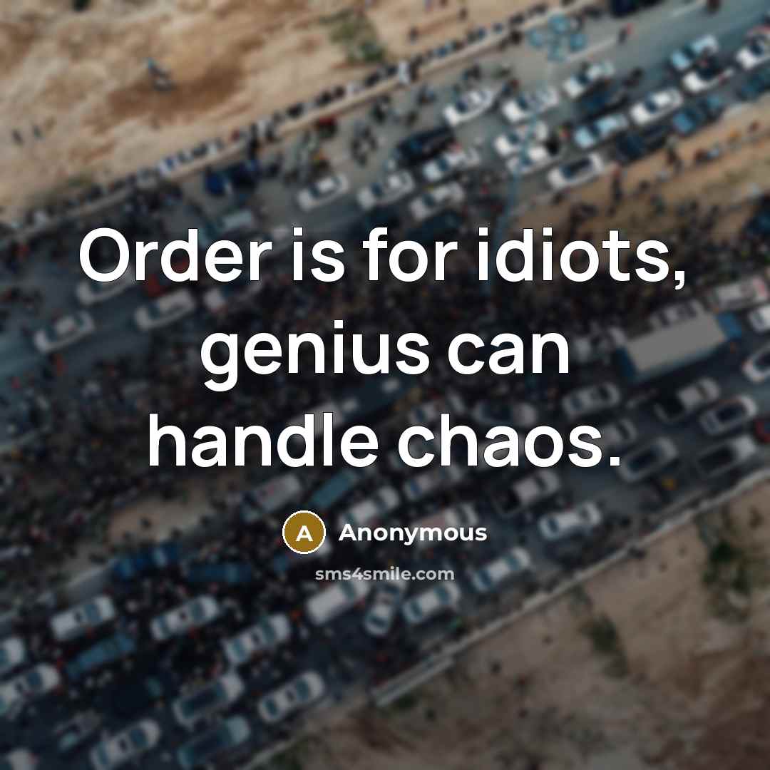 “Order is for idiots, genius can handle chaos.” quote by Anonymous