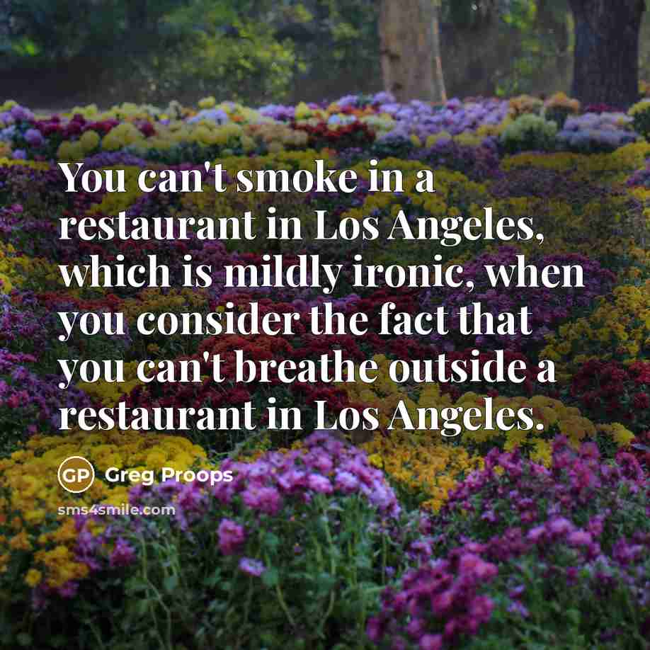 “You can't smoke in a restaurant in Los Angeles, which is mildly ironic, when you consider the fact that you can't breathe outside a restaurant in Los Angeles.” quote by Greg Proops