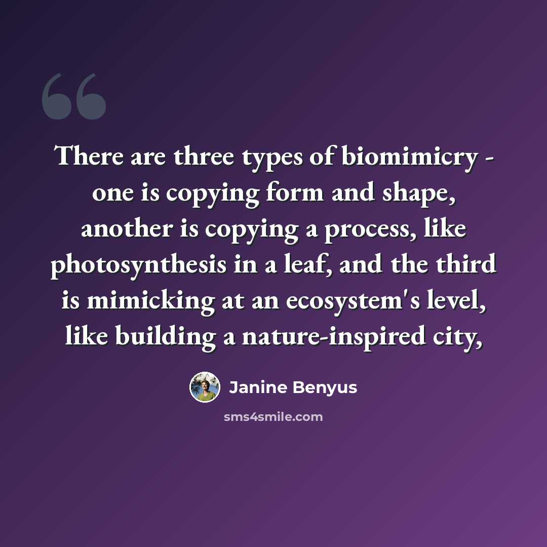 “There are three types of biomimicry - one is copying form and shape, another is copying a process, like photosynthesis in a leaf, and the third is mimicking at an ecosystem's level, like building a nature-inspired city,” quote by Janine Benyus