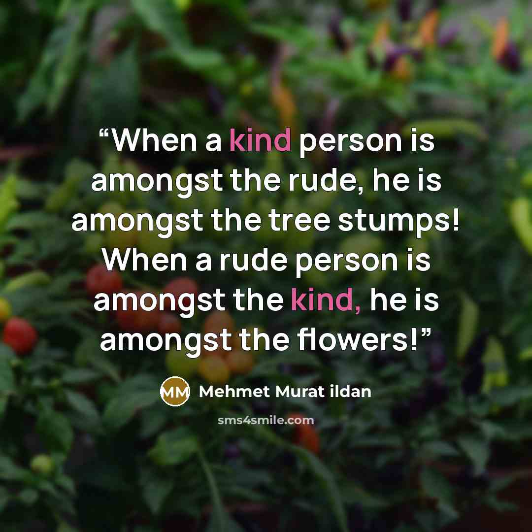 “When a kind person is amongst the rude, he is amongst the tree stumps! When a rude person is amongst the kind, he is amongst the flowers!” quote by Mehmet Murat ildan
