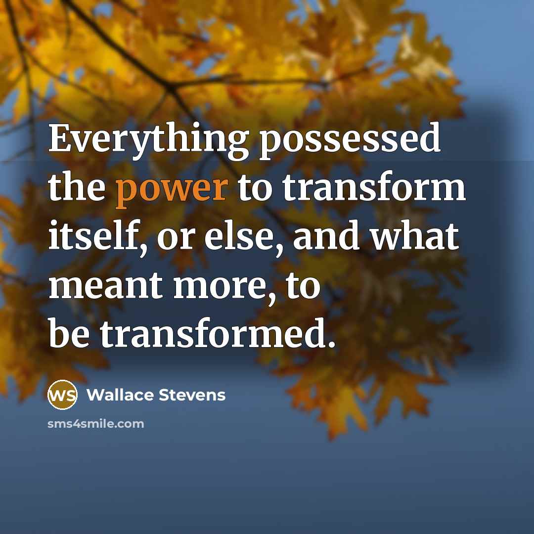 “Everything possessed the power to transform itself, or else, and what meant more, to be transformed.” quote by Wallace Stevens