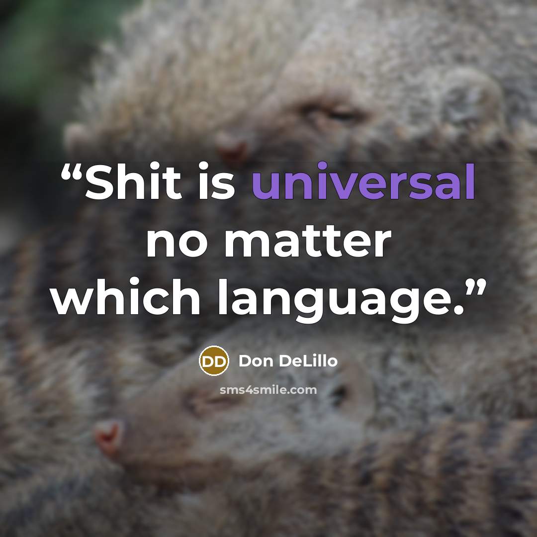 “Shit is universal no matter which language.” quote by Don DeLillo