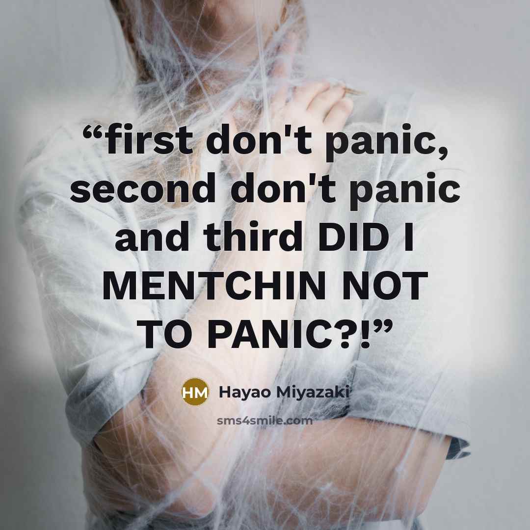 “first don't panic, second don't panic and third DID I MENTCHIN NOT TO PANIC?!” quote by Hayao Miyazaki