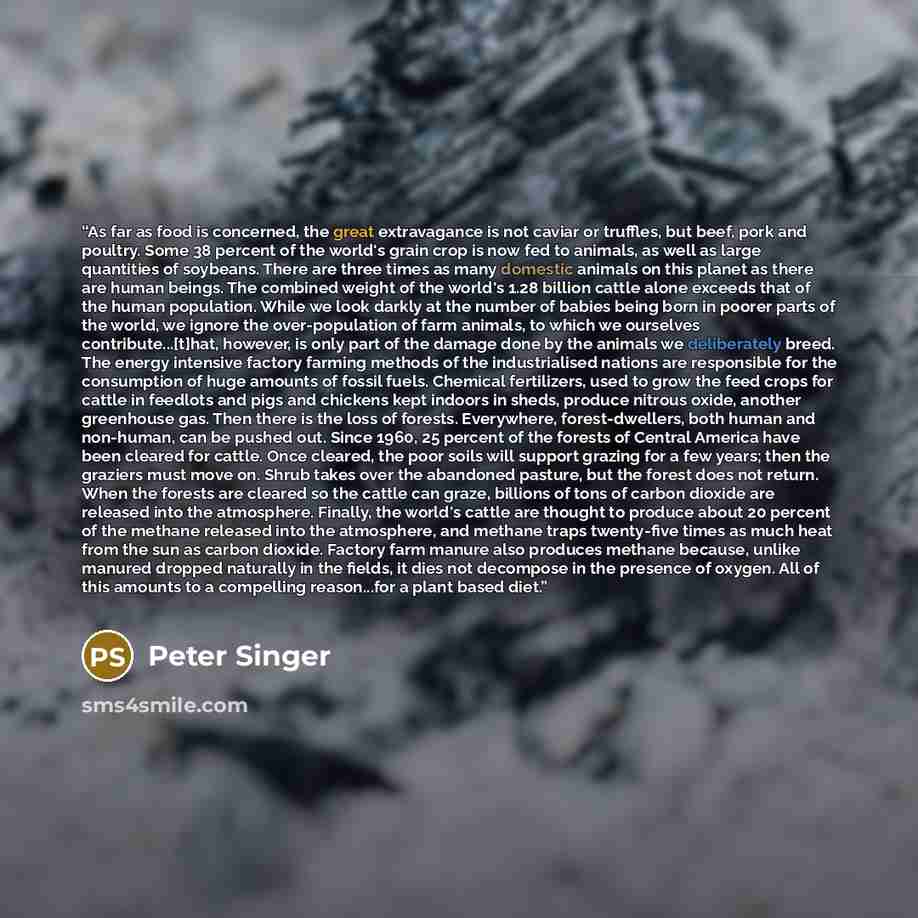 “As far as food is concerned, the great extravagance is not caviar or truffles, but beef, pork and poultry. Some 38 percent of the world's grain crop is now fed to animals, as well as large quantities of soybeans. There are three times as many domestic animals on this planet as there are human…” quote by Peter Singer