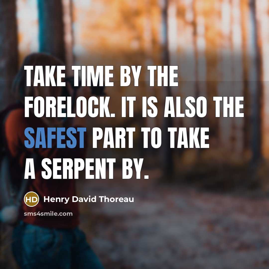 “Take Time by the forelock. It is also the safest part to take a serpent by.” quote by Henry David Thoreau