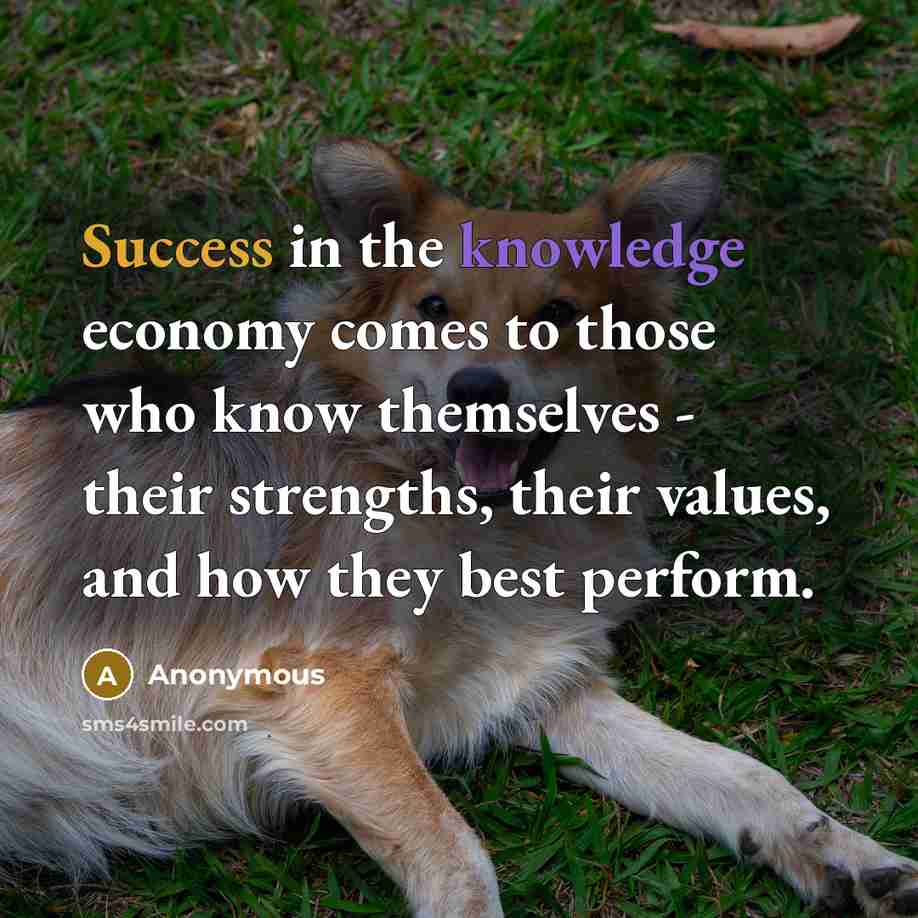 “Success in the knowledge economy comes to those who know themselves - their strengths, their values, and how they best perform.” quote by Anonymous