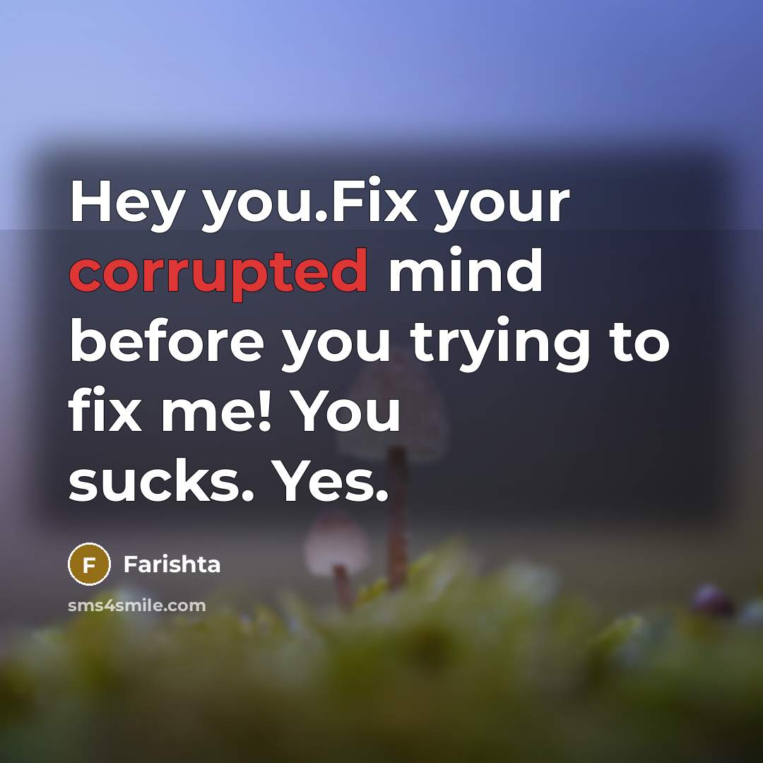 “Hey you.Fix your corrupted mind before you trying to fix me! You sucks. Yes.” quote by Farishta