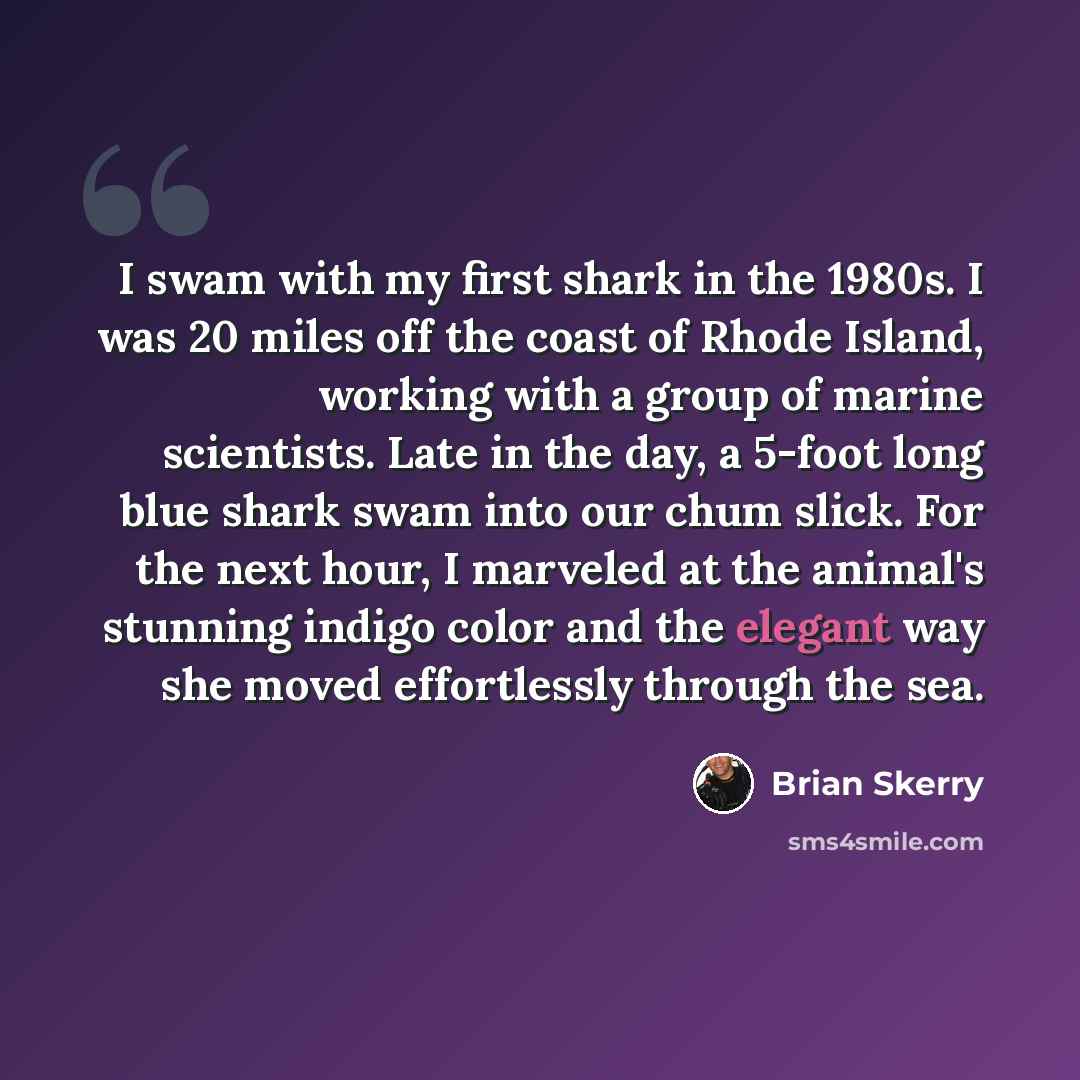 “I swam with my first shark in the 1980s. I was 20 miles off the coast of Rhode Island, working with a group of marine scientists. Late in the day, a 5-foot long blue shark swam into our chum slick. For the next hour, I marveled at the animal's stunning indigo color and the elegant way she moved…” quote by Brian Skerry