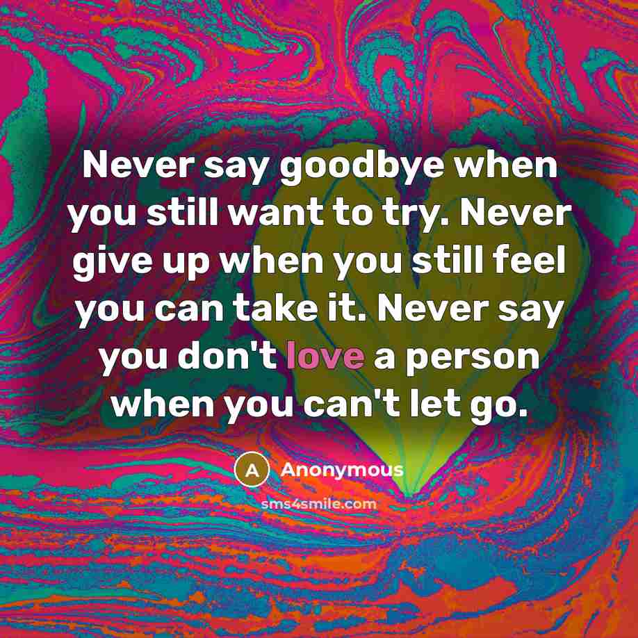 “Never say goodbye when you still want to try. Never give up when you still feel you can take it. Never say you don't love a person when you can't let go.” quote by Anonymous