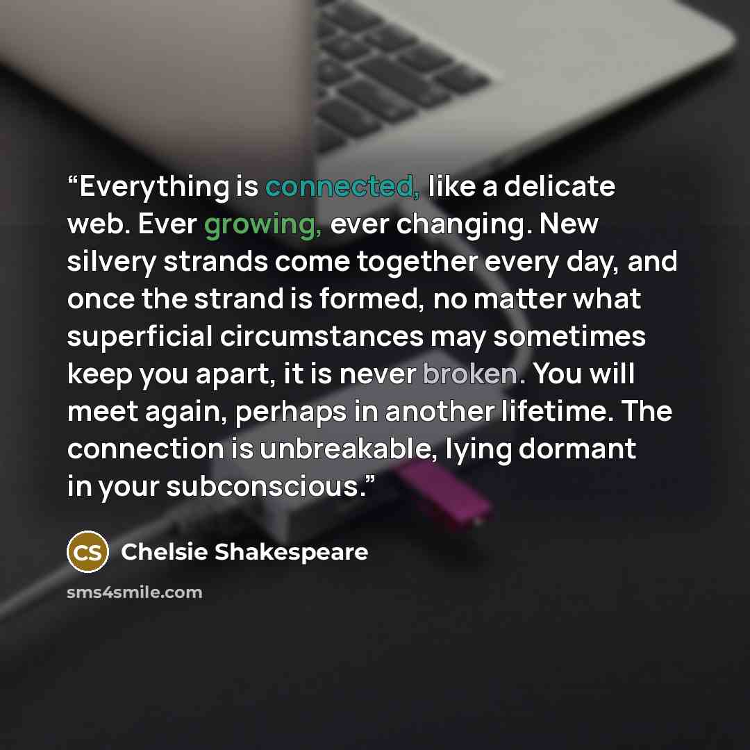 “Everything is connected, like a delicate web. Ever growing, ever changing. New silvery strands come together every day, and once the strand is formed, no matter what superficial circumstances may sometimes keep you apart, it is never broken. You will meet again, perhaps in another lifetime. The…” quote by Chelsie Shakespeare