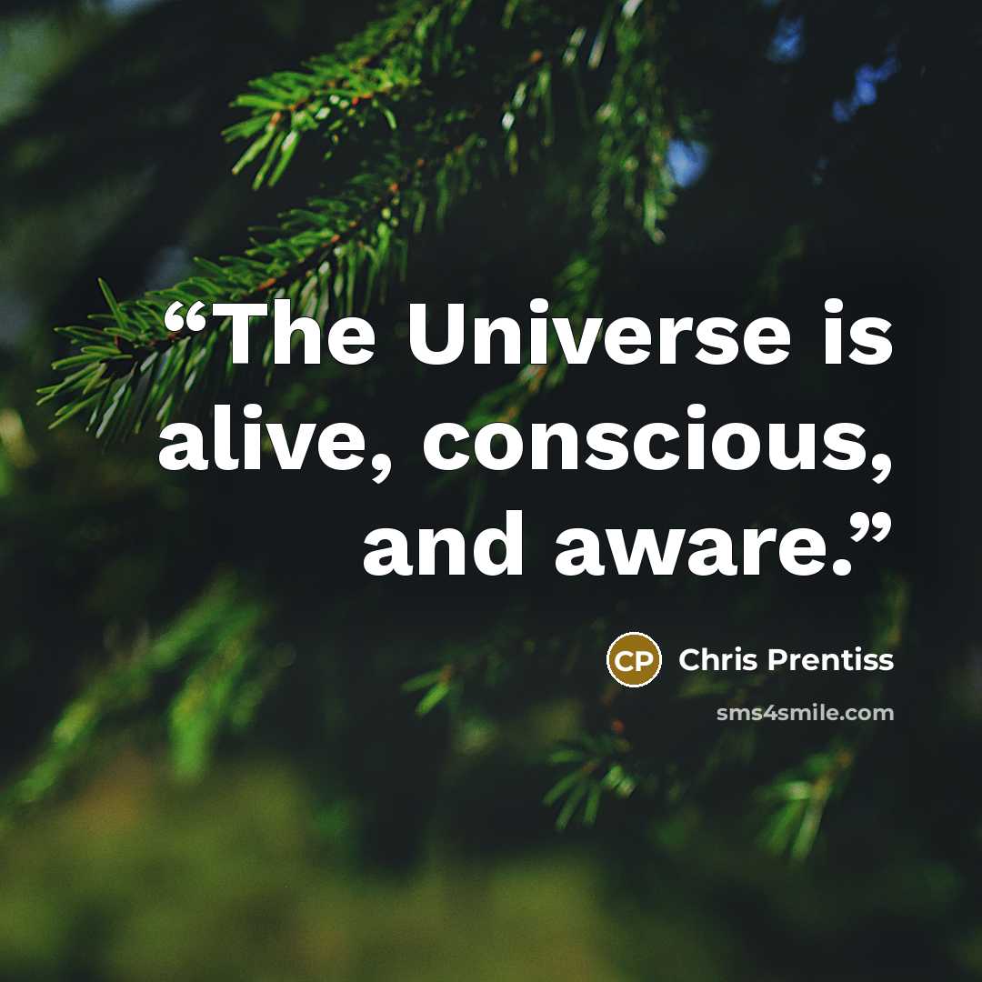 “The Universe is alive, conscious, and aware.” quote by Chris Prentiss