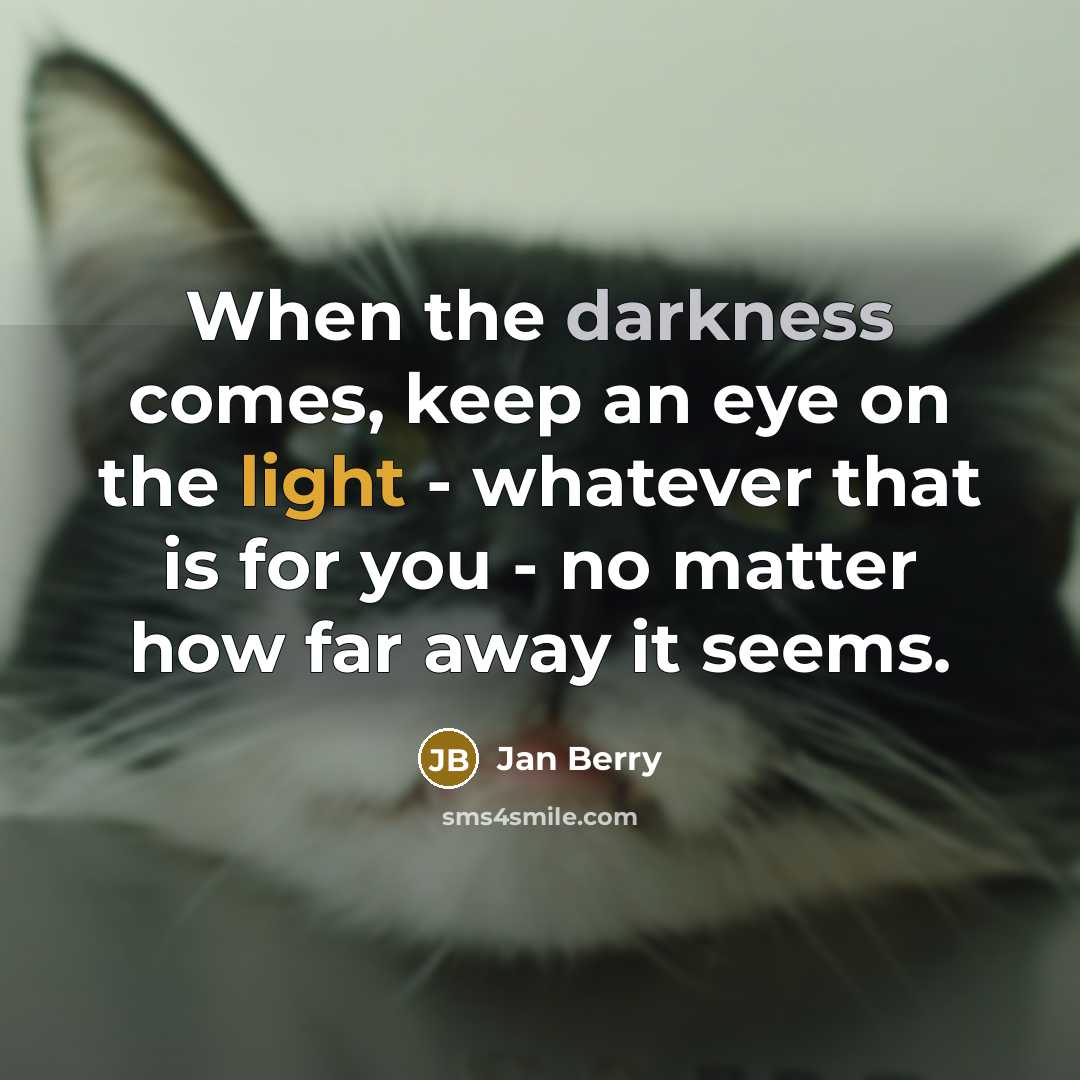 “When the darkness comes, keep an eye on the light - whatever that is for you - no matter how far away it seems.” quote by Jan Berry
