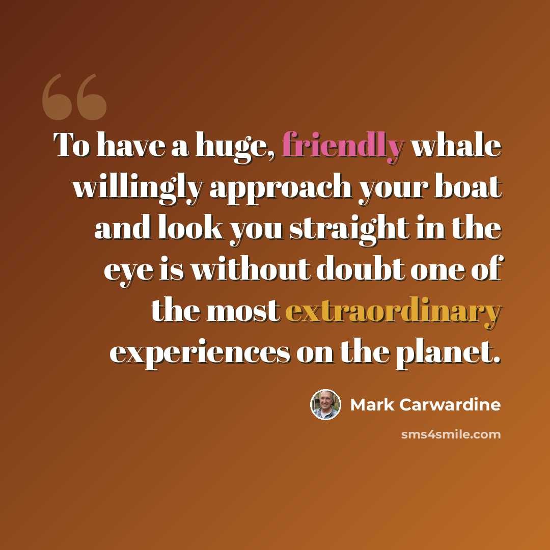 “To have a huge, friendly whale willingly approach your boat and look you straight in the eye is without doubt one of the most extraordinary experiences on the planet.” quote by Mark Carwardine