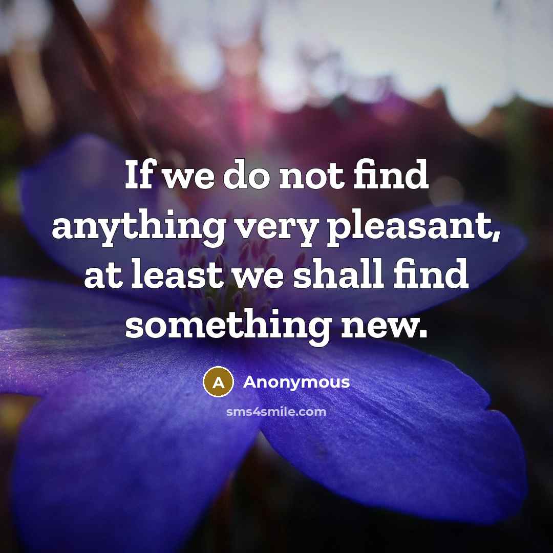 “If we do not find anything very pleasant, at least we shall find something new.” quote by Anonymous