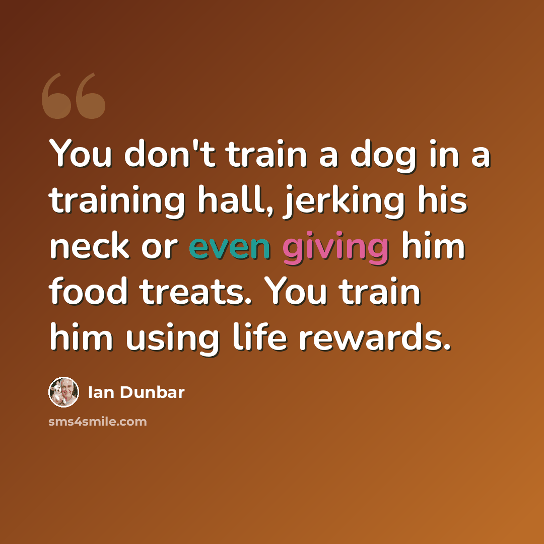“You don't train a dog in a training hall, jerking his neck or even giving him food treats. You train him using life rewards.” quote by Ian Dunbar