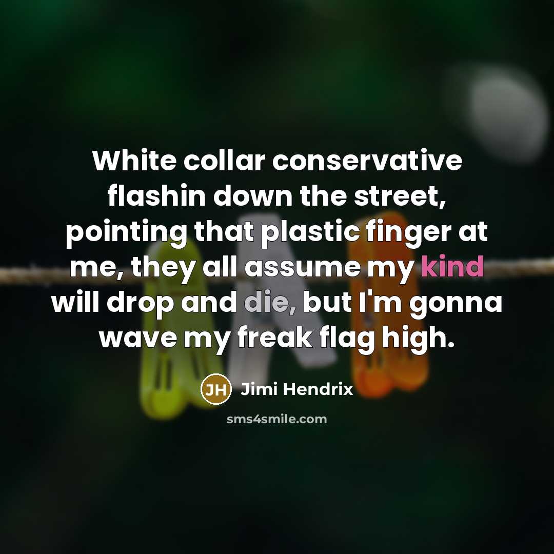 “White collar conservative flashin down the street, pointing that plastic finger at me, they all assume my kind will drop and die, but I'm gonna wave my freak flag high.” quote by Jimi Hendrix