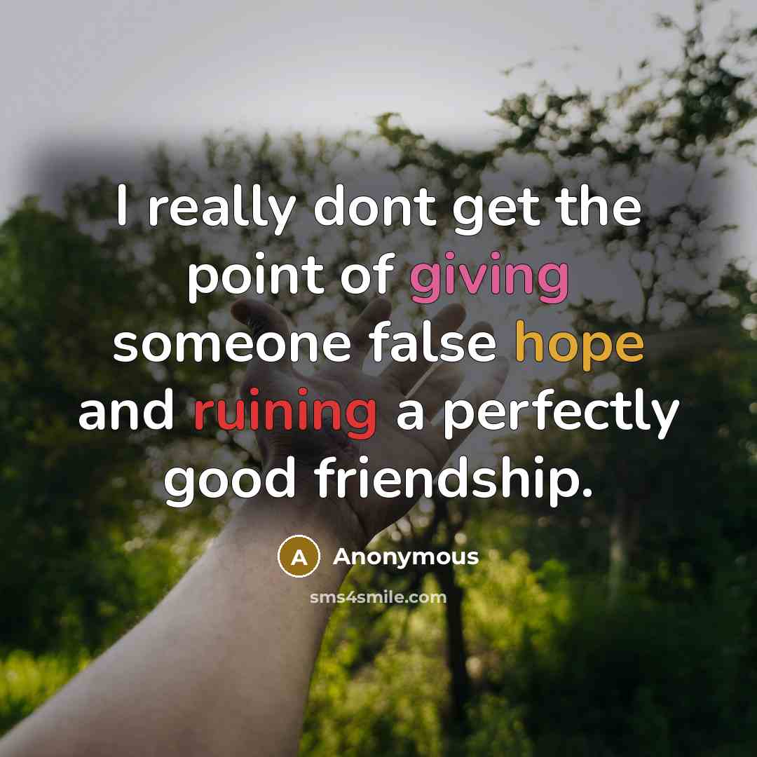 “I really dont get the point of giving someone false hope and ruining a perfectly good friendship.” quote by Anonymous