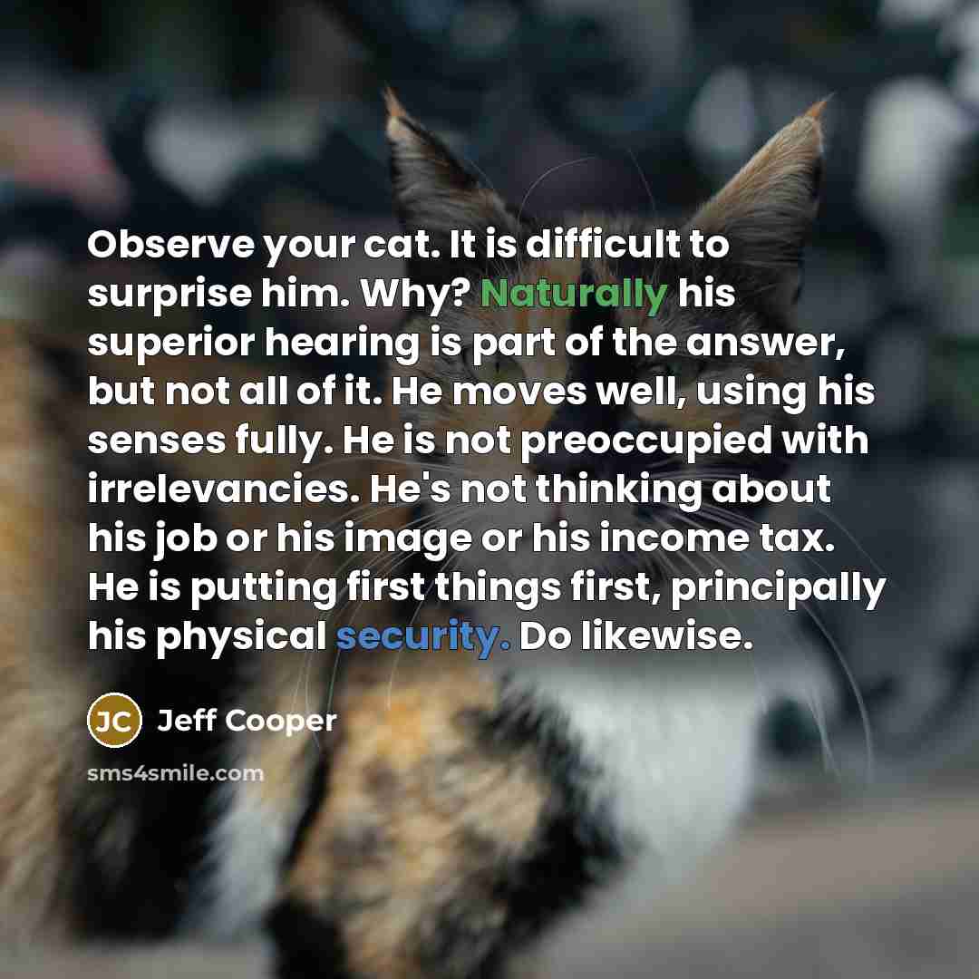 “Observe your cat. It is difficult to surprise him. Why? Naturally his superior hearing is part of the answer, but not all of it. He moves well, using his senses fully. He is not preoccupied with irrelevancies. He's not thinking about his job or his image or his income tax. He is putting first…” quote by Jeff Cooper