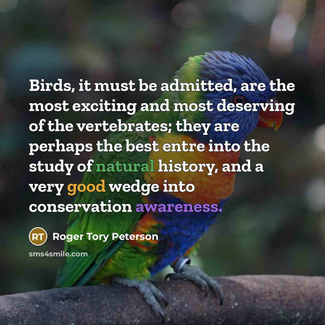 “Birds, it must be admitted, are the most exciting and most deserving of the vertebrates; they are perhaps the best entre into the study of natural history, and a very good wedge into conservation awareness.” quote by Roger Tory Peterson