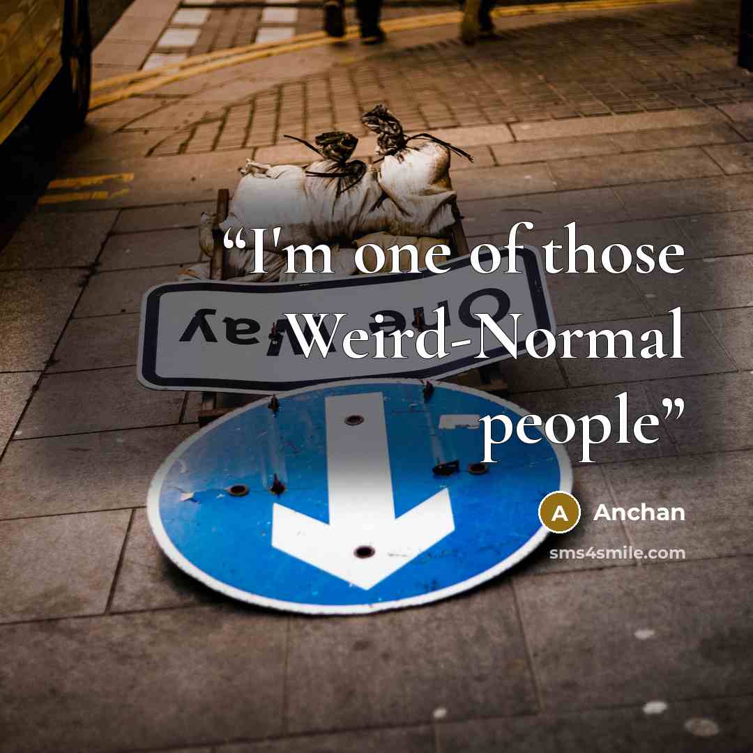“I'm one of those Weird-Normal people” quote by Anchan