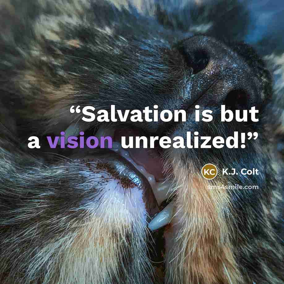 “Salvation is but a vision unrealized!” quote by K.J. Colt