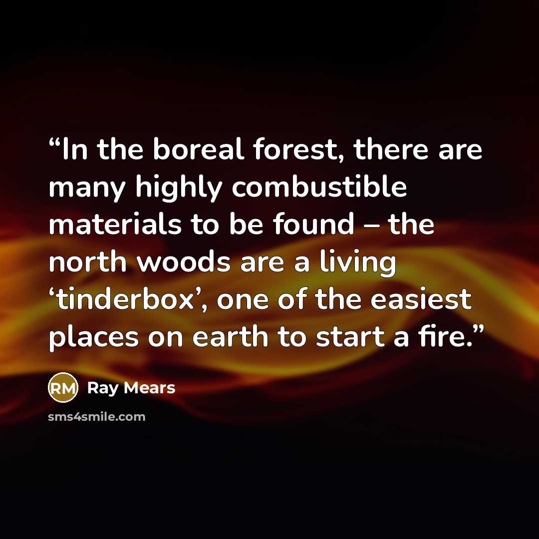 “In the boreal forest, there are many highly combustible materials to be found – the north woods are a living ‘tinderbox’, one of the easiest places on earth to start a fire.” quote by Ray Mears