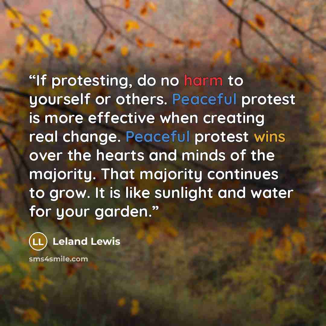 “If protesting, do no harm to yourself or others. Peaceful protest is more effective when creating real change. Peaceful protest wins over the hearts and minds of the majority. That majority continues to grow. It is like sunlight and water for your garden.” quote by Leland Lewis