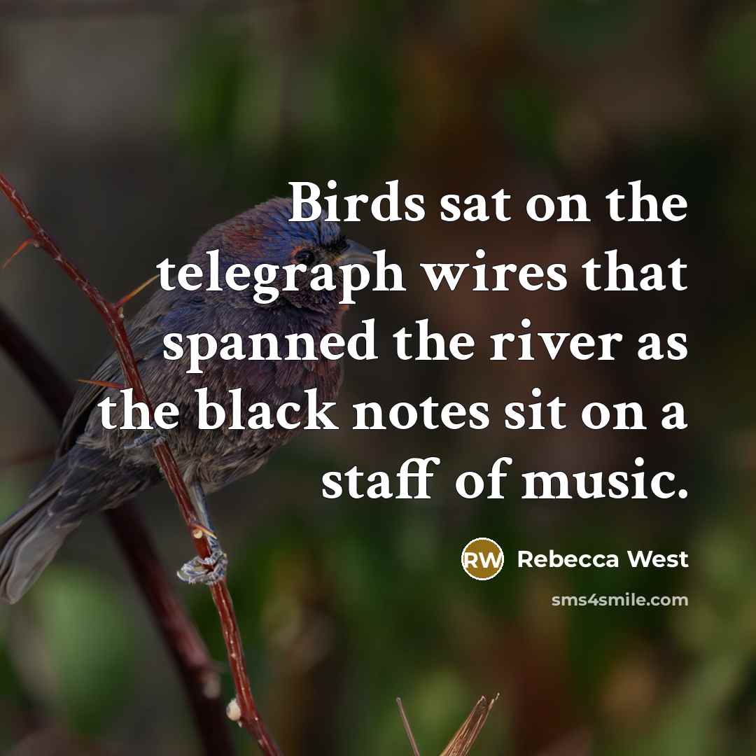 “Birds sat on the telegraph wires that spanned the river as the black notes sit on a staff of music.” quote by Rebecca West
