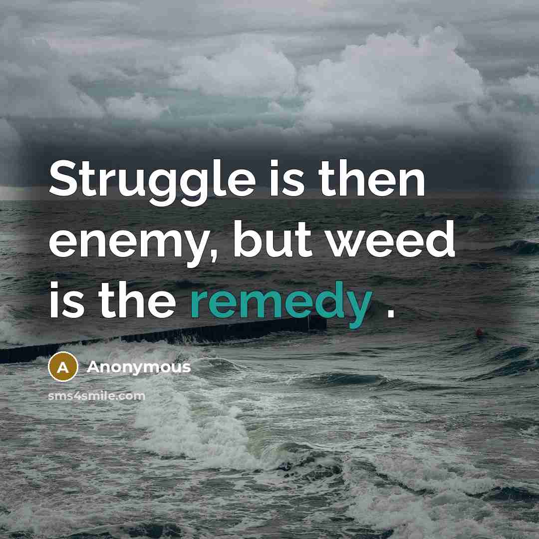 “Struggle is then enemy, but weed is the remedy .” quote by Anonymous