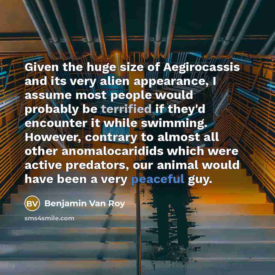 “Given the huge size of Aegirocassis and its very alien appearance, I assume most people would probably be terrified if they'd encounter it while swimming. However, contrary to almost all other anomalocaridids which were active predators, our animal would have been a very peaceful guy.” quote by Benjamin Van Roy