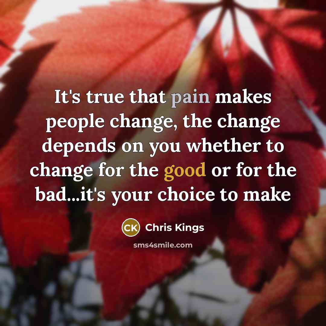 “It's true that pain makes people change, the change depends on you whether to change for the good or for the bad...it's your choice to make” quote by Chris Kings