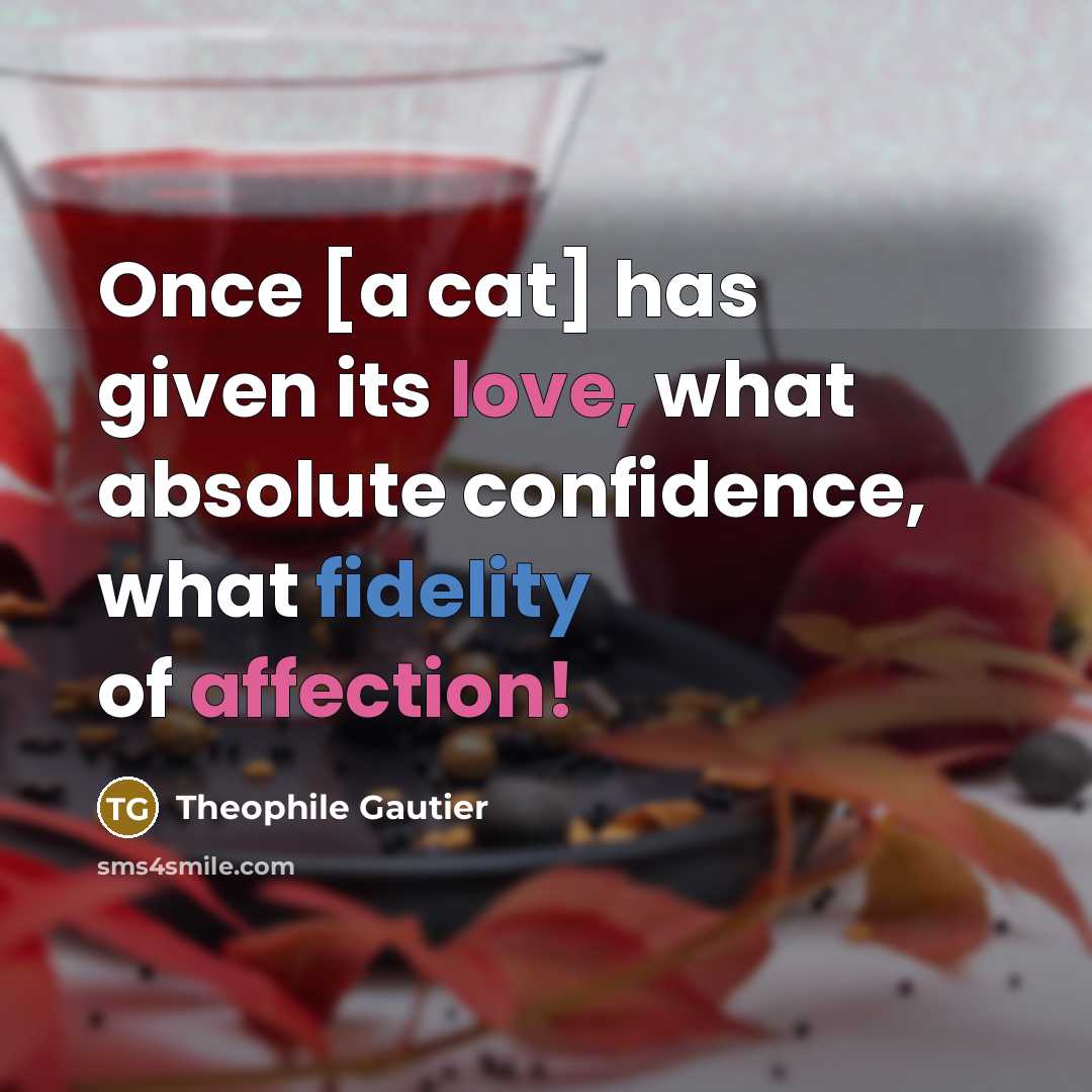 “Once [a cat] has given its love, what absolute confidence, what fidelity of affection!” quote by Theophile Gautier