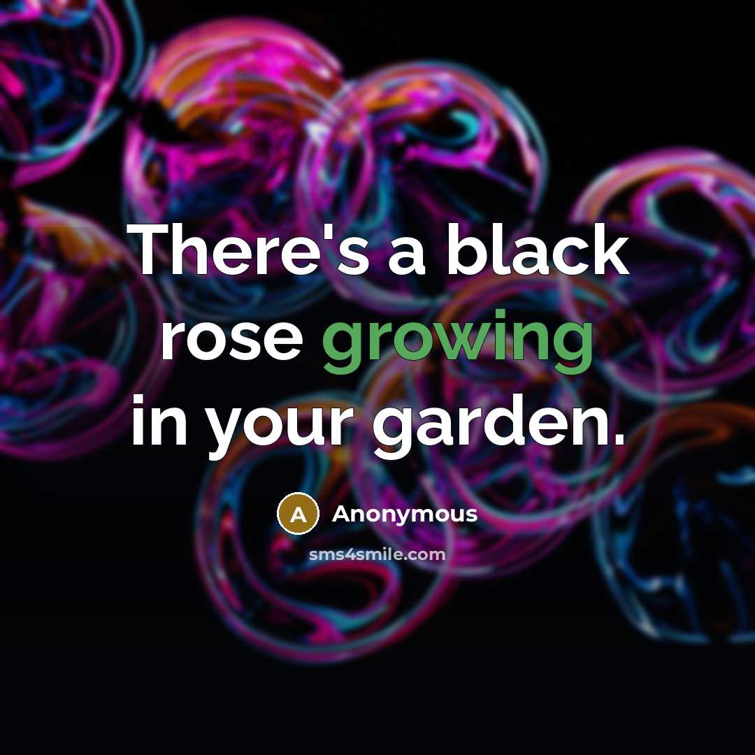 “There's a black rose growing in your garden.” quote by Anonymous