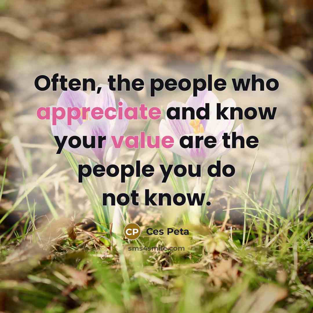 “Often, the people who appreciate and know your value are the people you do not know.” quote by Ces Peta