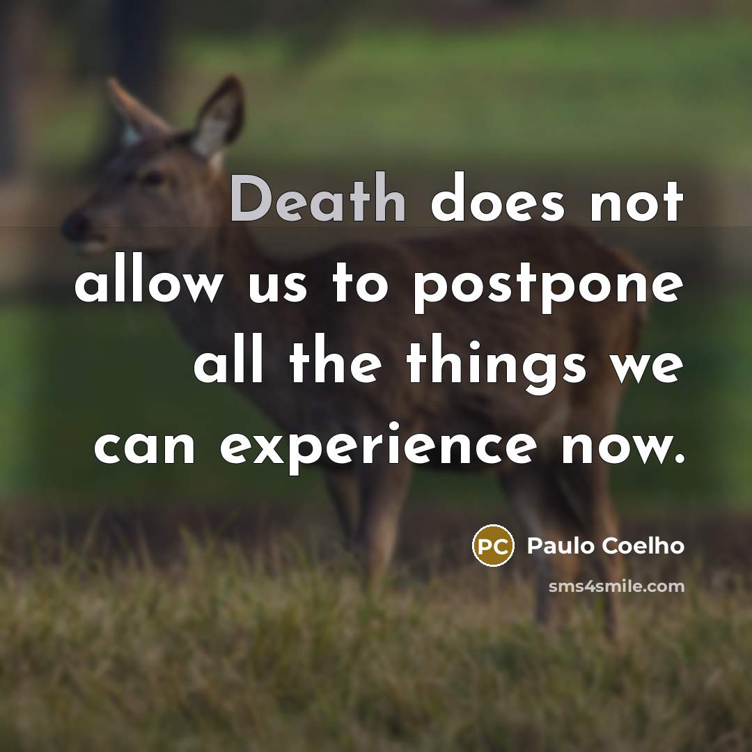 “Death does not allow us to postpone all the things we can experience now.” quote by Paulo Coelho