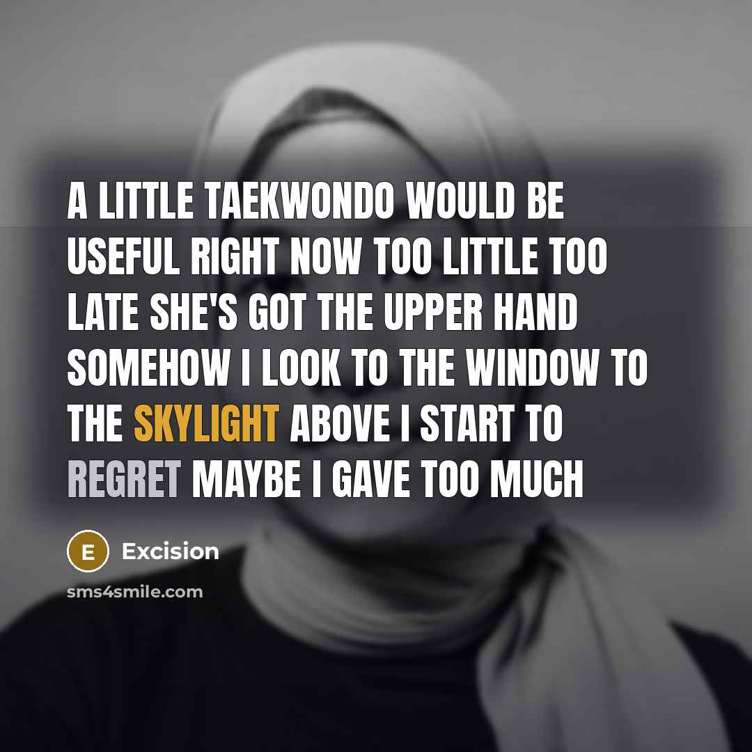 “A little taekwondo Would be useful right now Too little too late She's got the upper hand somehow I look to the window To the skylight above I start to regret Maybe I gave too much” quote by Excision