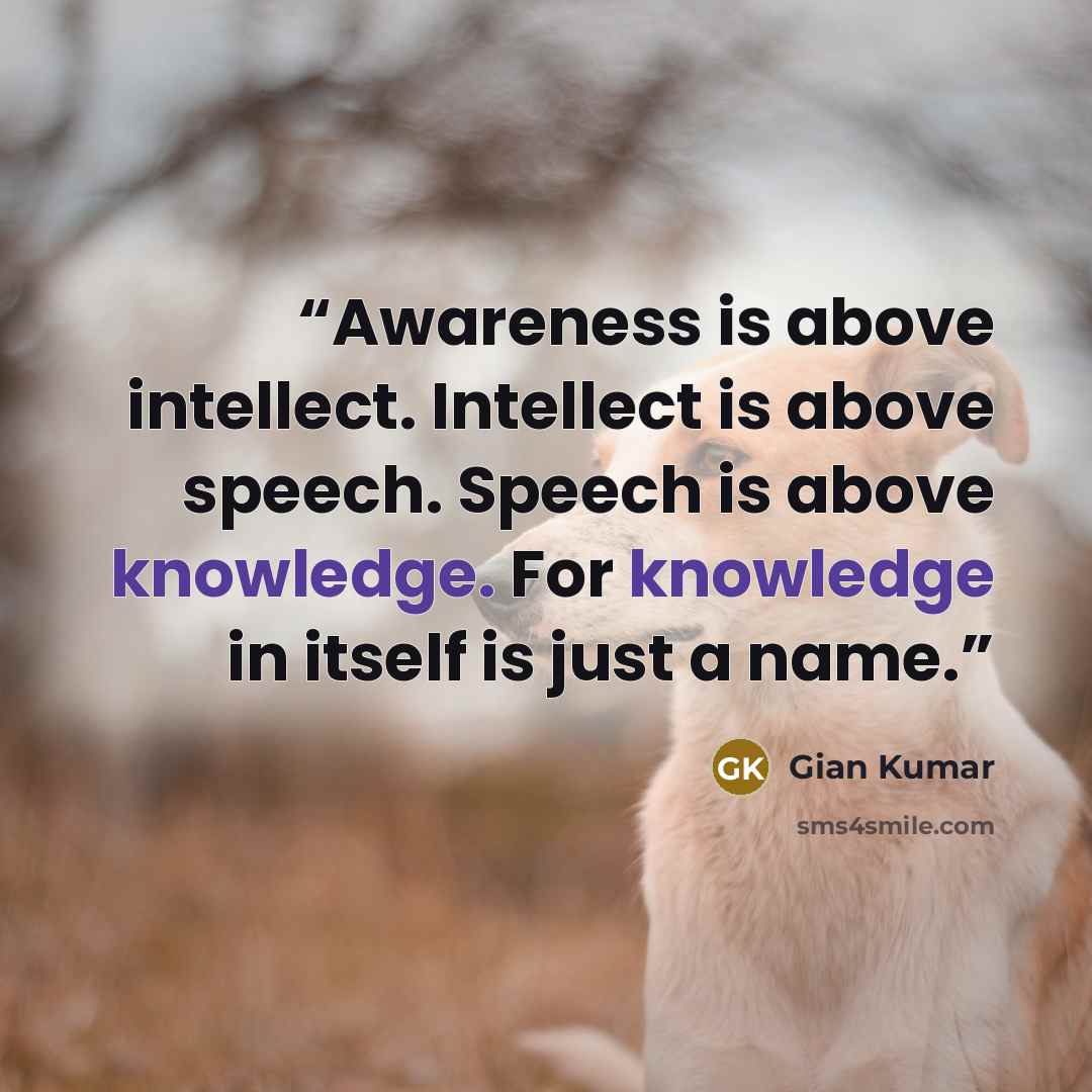 “Awareness is above intellect. Intellect is above speech. Speech is above knowledge. For knowledge in itself is just a name.” quote by Gian Kumar