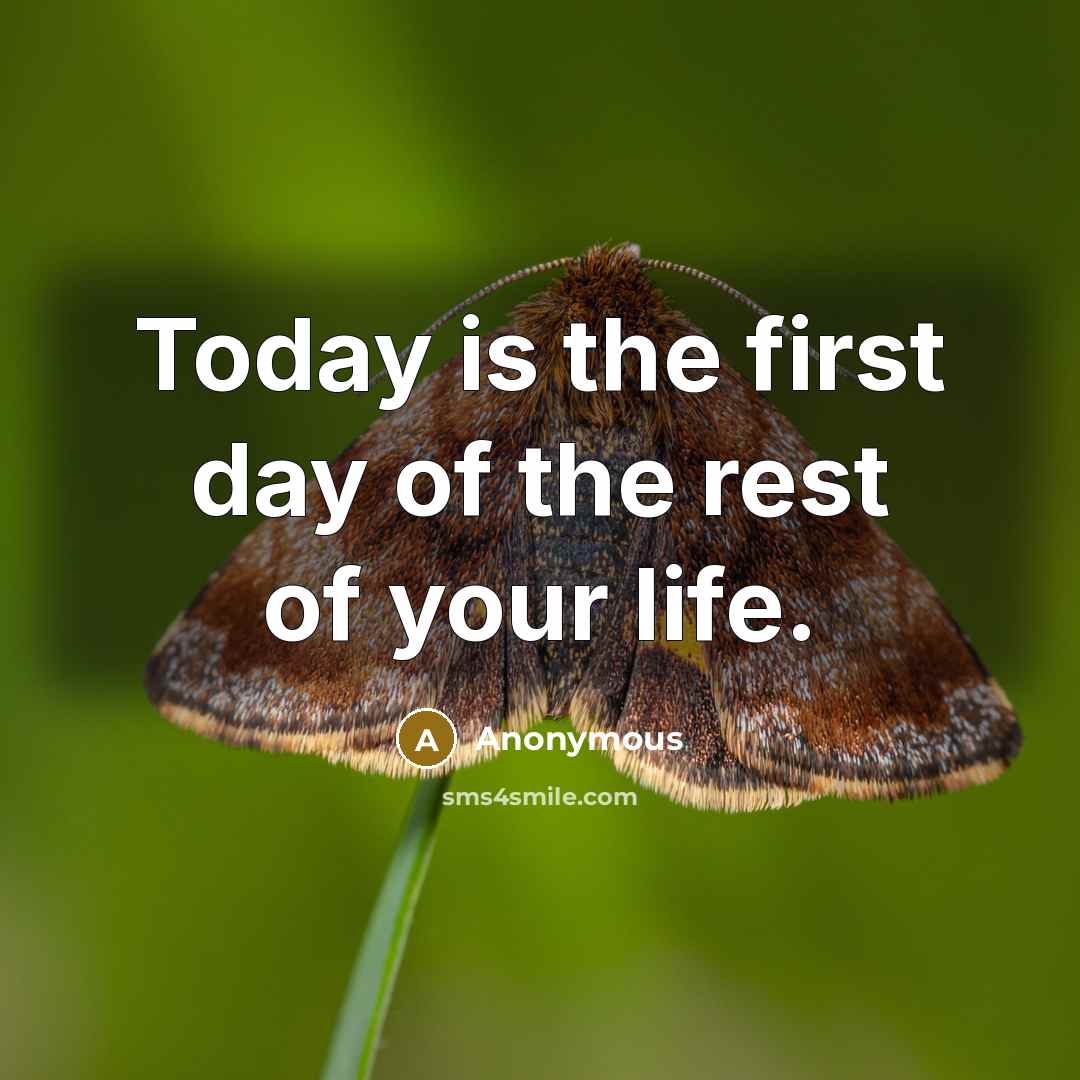 “Today is the first day of the rest of your life.” quote by Anonymous