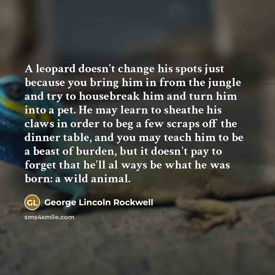“A leopard doesn't change his spots just because you bring him in from the jungle and try to housebreak him and turn him into a pet. He may learn to sheathe his claws in order to beg a few scraps off the dinner table, and you may teach him to be a beast of burden, but it doesn't pay to forget that…” quote by George Lincoln Rockwell