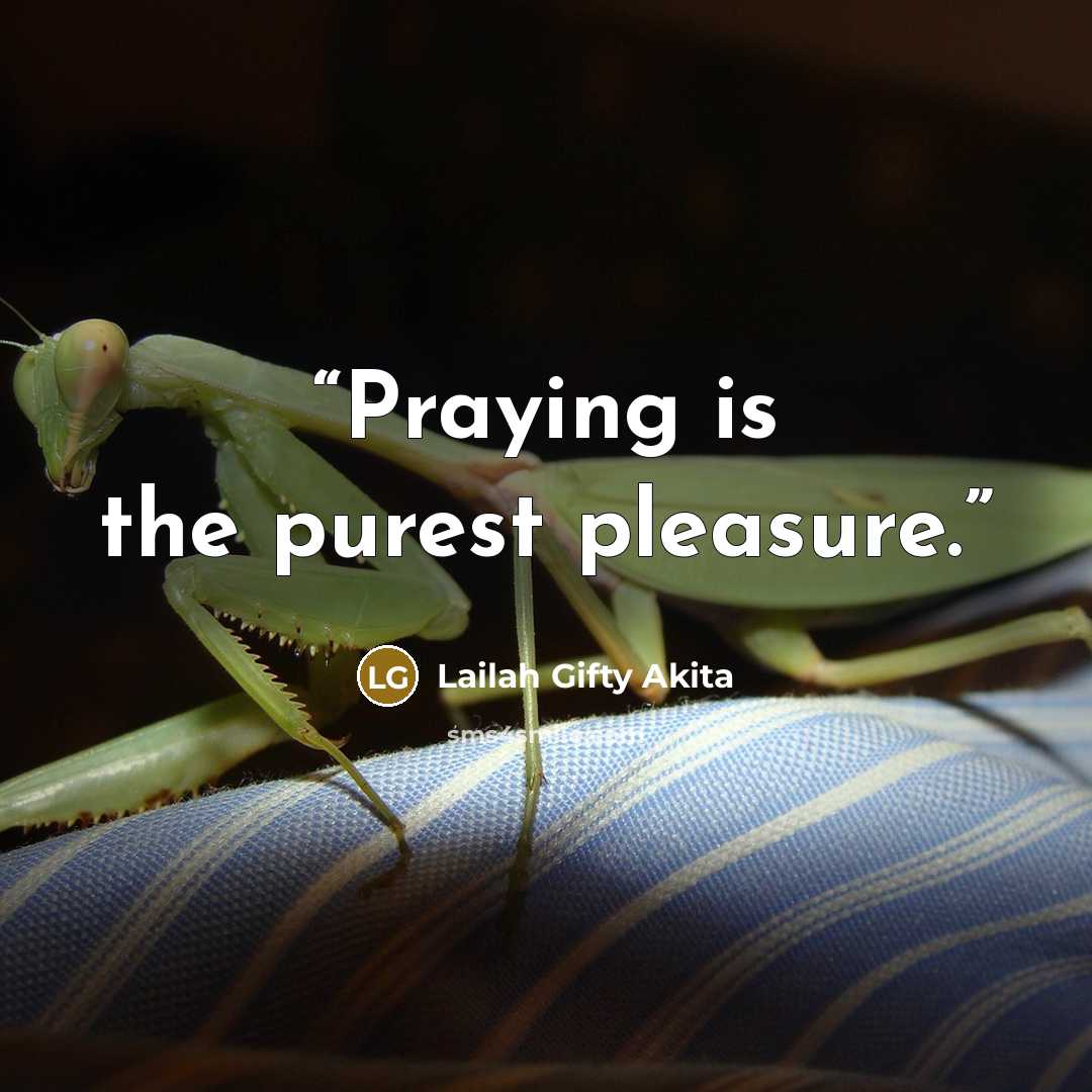 “Praying is the purest pleasure.” quote by Lailah Gifty Akita