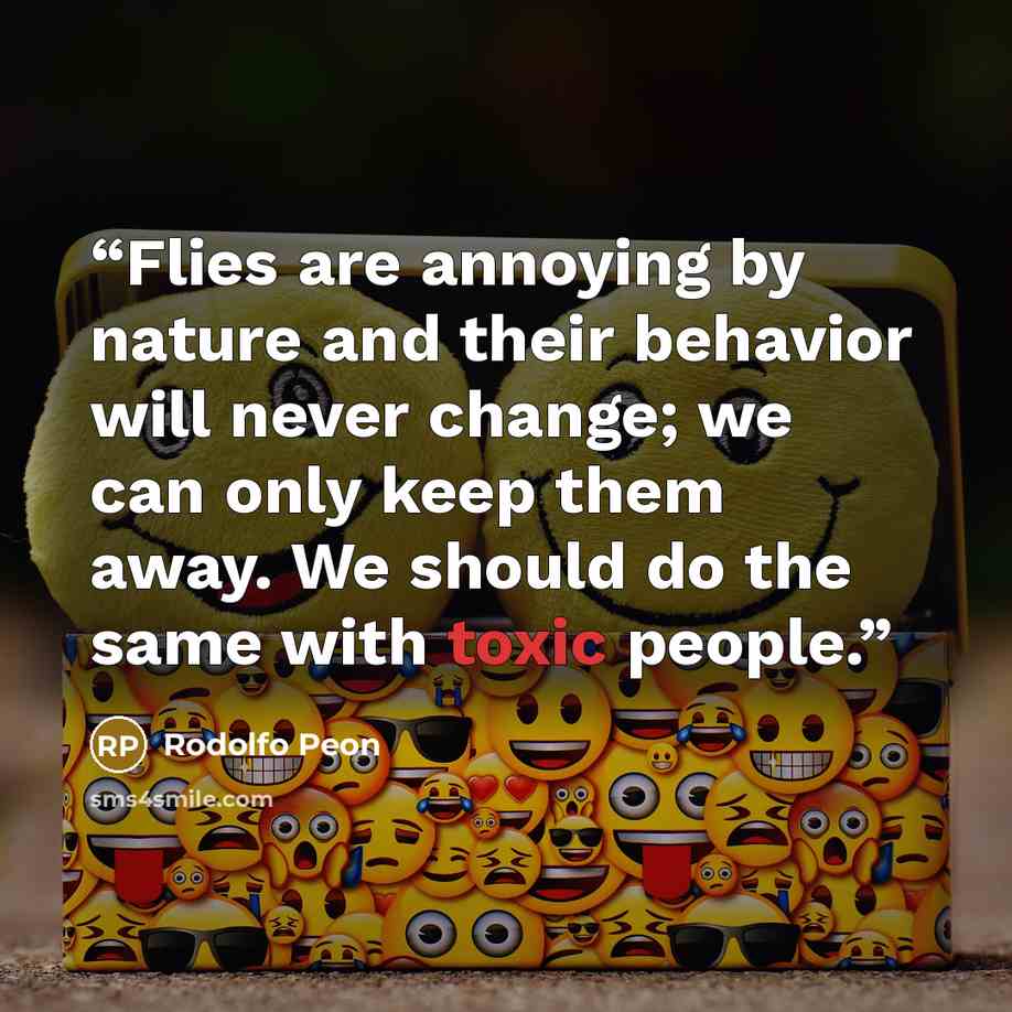 “Flies are annoying by nature and their behavior will never change; we can only keep them away. We should do the same with toxic people.” quote by Rodolfo Peon