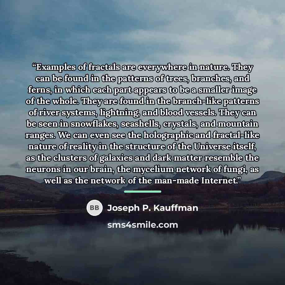 “Examples of fractals are everywhere in nature. They can be found in the patterns of trees, branches, and ferns, in which each part appears to be a smaller image of the whole. They are found in the branch-like patterns of river systems, lightning, and blood vessels. They can be seen in snowflakes…” quote by Joseph P. Kauffman
