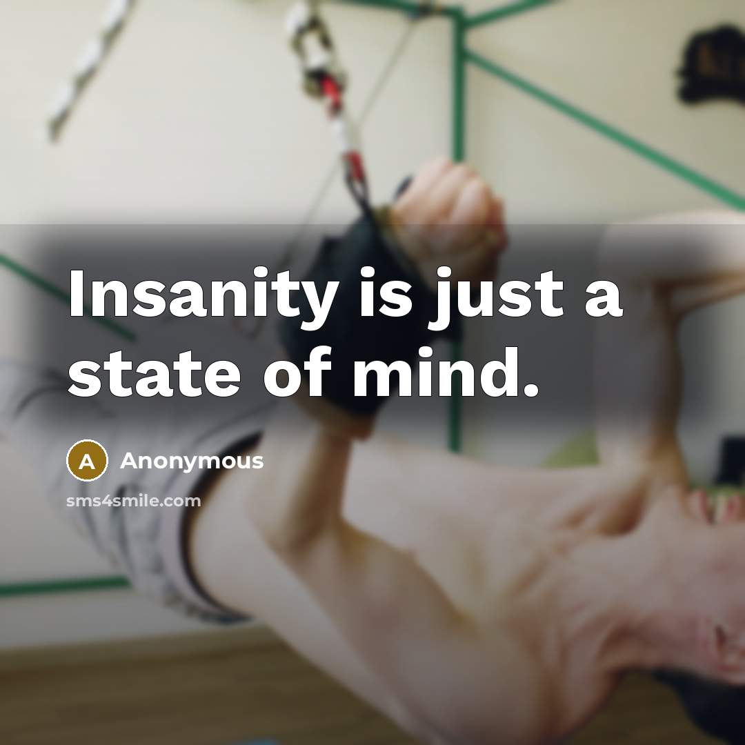 “Insanity is just a state of mind.” quote by Anonymous