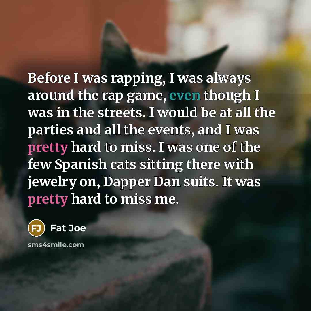 “Before I was rapping, I was always around the rap game, even though I was in the streets. I would be at all the parties and all the events, and I was pretty hard to miss. I was one of the few Spanish cats sitting there with jewelry on, Dapper Dan suits. It was pretty hard to miss me.” quote by Fat Joe