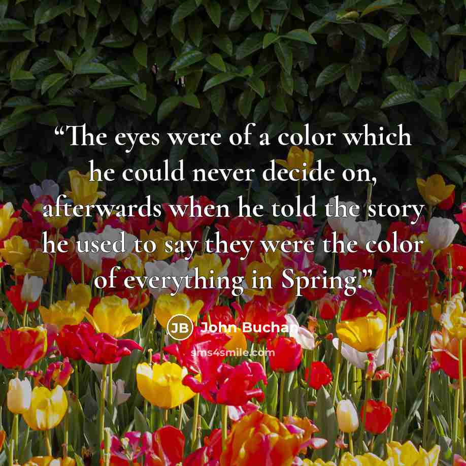 “The eyes were of a color which he could never decide on, afterwards when he told the story he used to say they were the color of everything in Spring.” quote by John Buchan