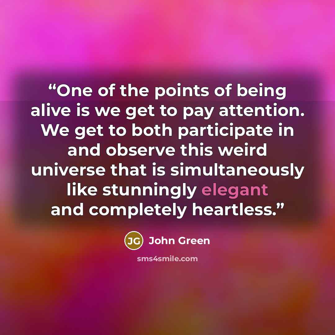“One of the points of being alive is we get to pay attention. We get to both participate in and observe this weird universe that is simultaneously like stunningly elegant and completely heartless.” quote by John Green