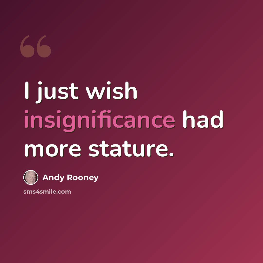 “I just wish insignificance had more stature.” quote by Andy Rooney